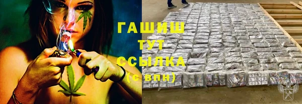 крисы Алексин