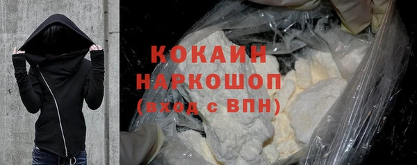 крисы Алексин
